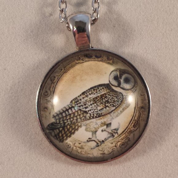 Kristy's Jewels Other - Mens Silver Owl Cabochon Pendant Chain Necklace Party Gift